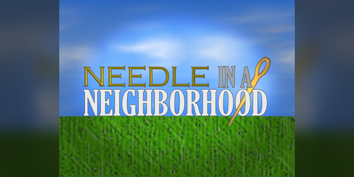 Cover image for Needle in a Neighborhood (LD37)