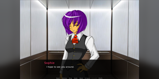 Cover image for The Elevator