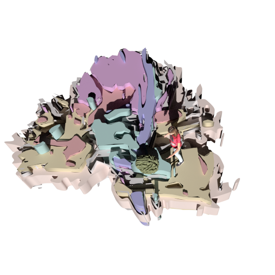 Eva and the Brain