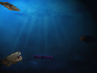 Cover image for Mystery Okenia