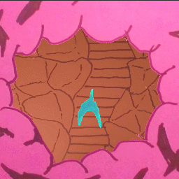 Cover image for a place i return to