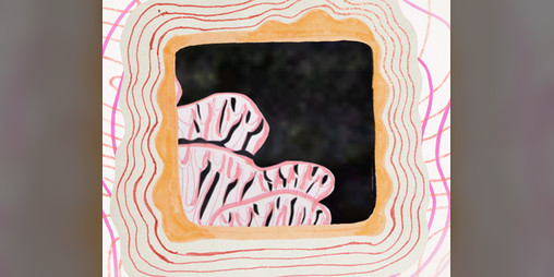 Cover image for Cavern