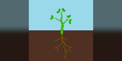 Cover image for Grow