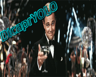 Cover image for DicaprYOLO