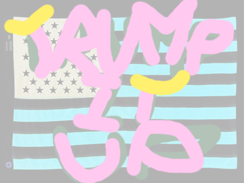 Cover image for Trump it up!