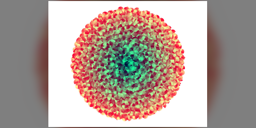 Cover image for Roses Creator