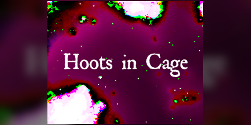 Cover image for Hoots in Cage