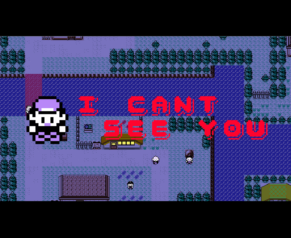 Cover image for I Can't See You