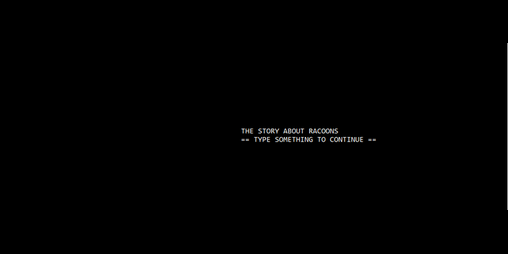Cover image for The story about racoons