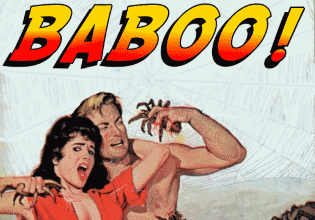 Cover image for Baboo!
