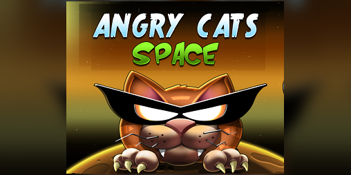 Cover image for Angry Cats Space