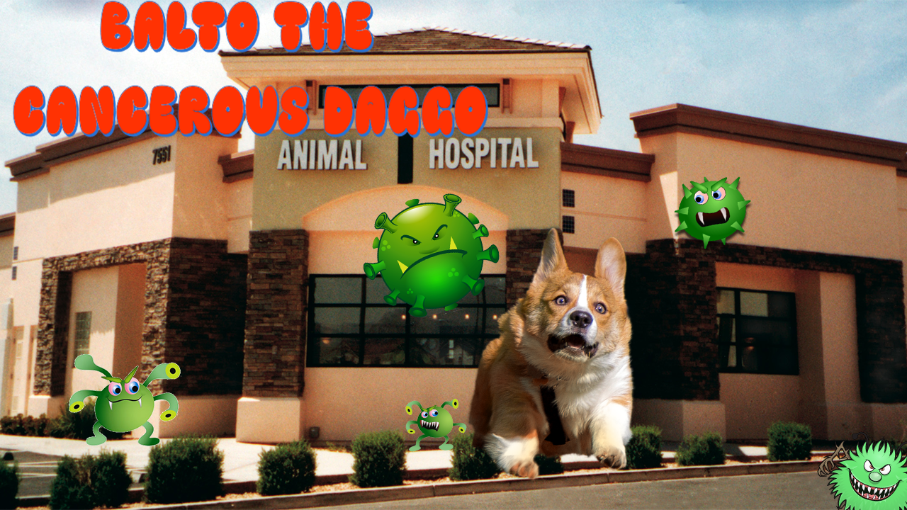 Balto the Cancerous Doggo