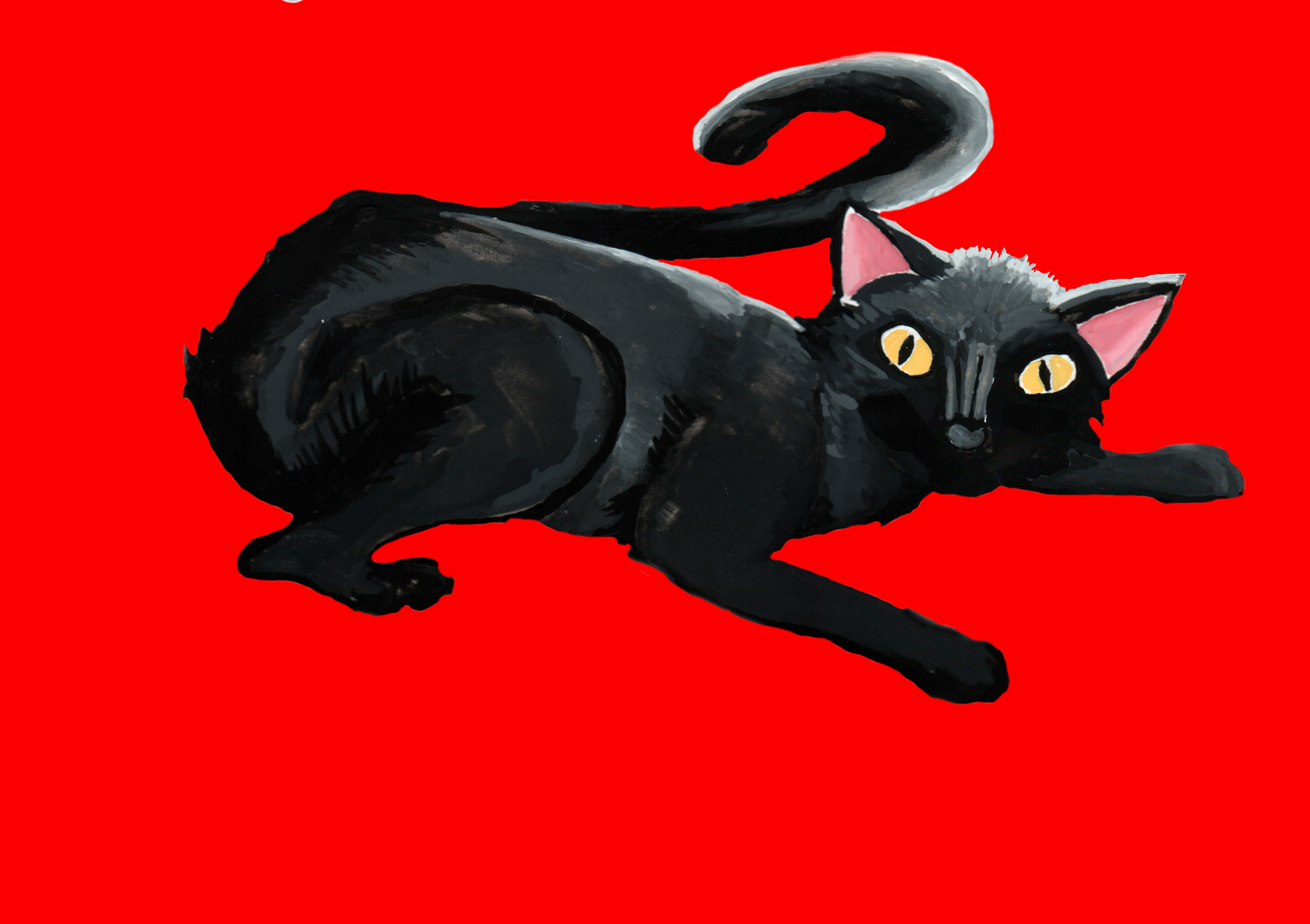 Cover image for Witness