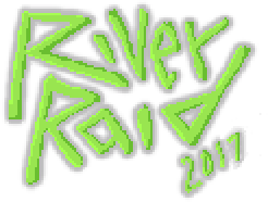 River Raid 2017