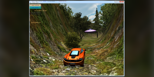 Cover image for Canyon Races