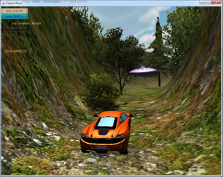 Cover image for Canyon Races