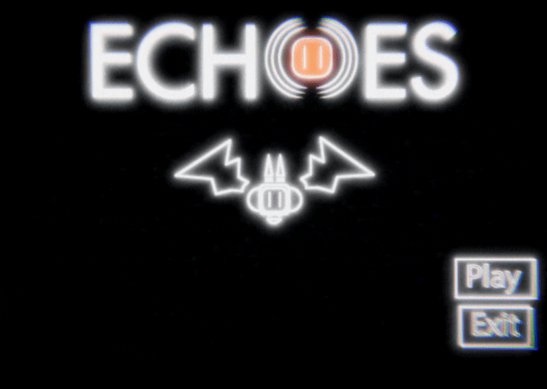 Cover image for Echoes