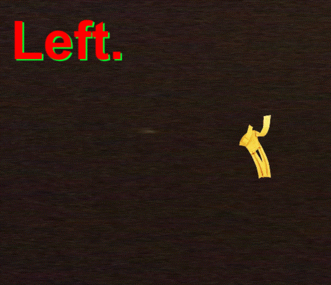 Left.