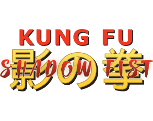 Cover image for Kung Fu Shadow Fist