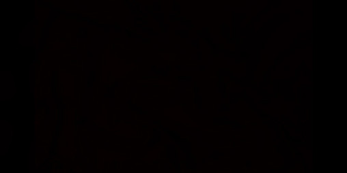 Cover image for The Dark