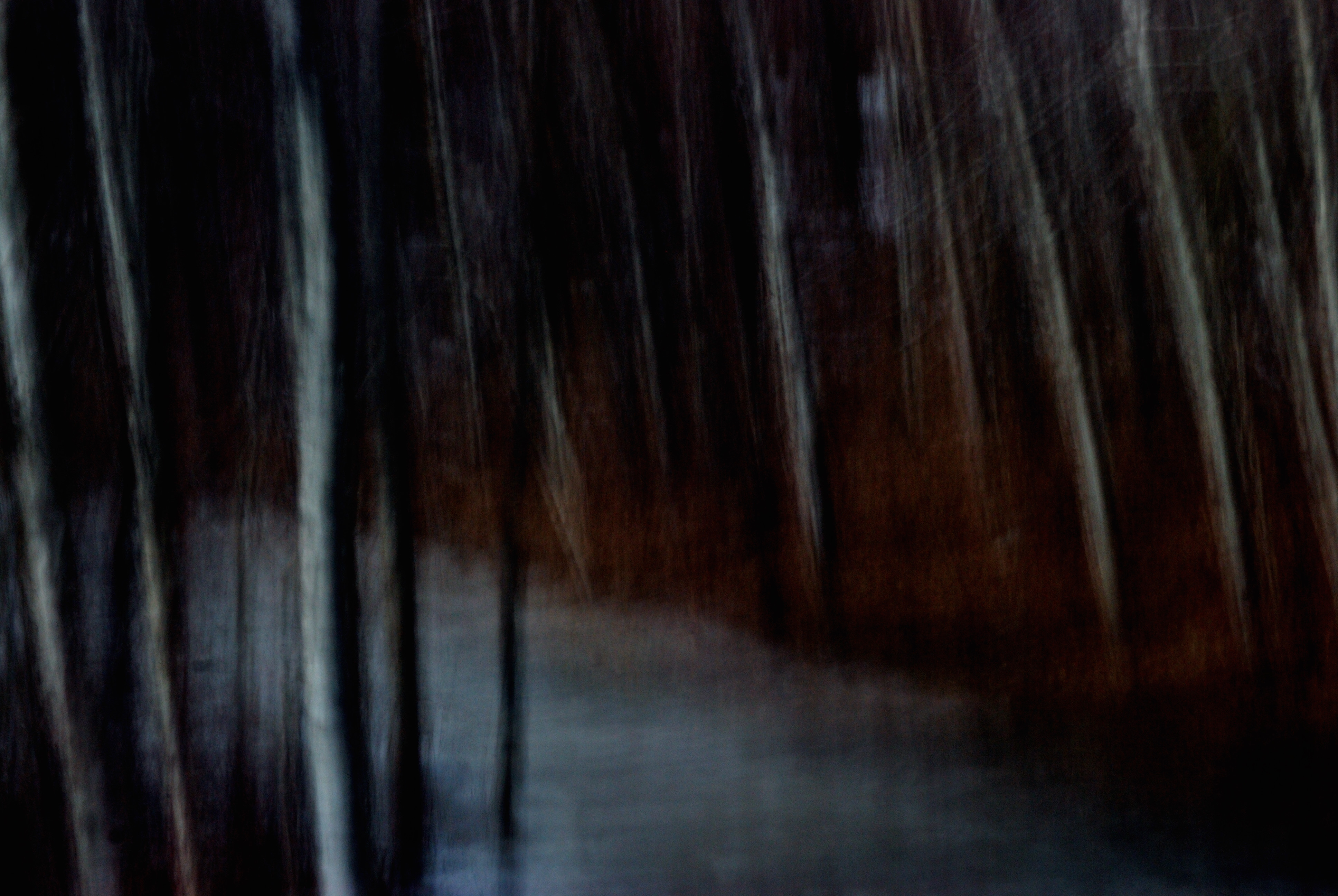 Cover image for The Exit (Interactive Fiction)