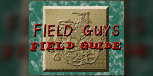 Cover image for Field Guys Field Guide