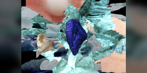 Cover image for VGN FRST