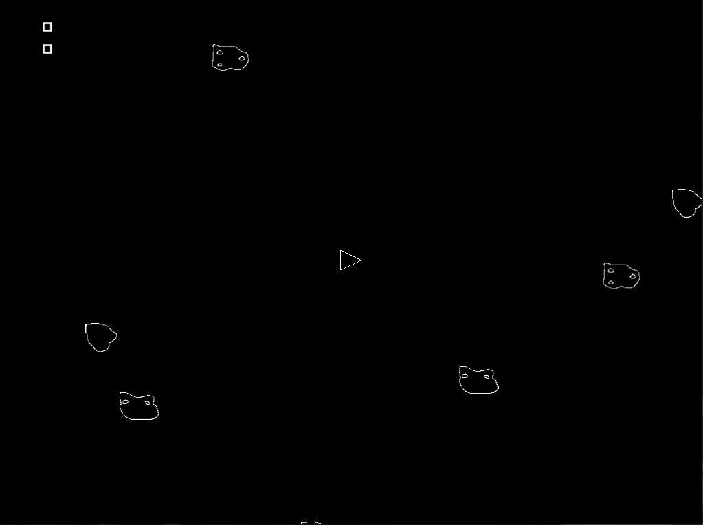Asteroids