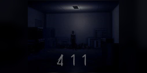 Cover image for 411