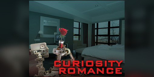 Cover image for Curiosity Romance