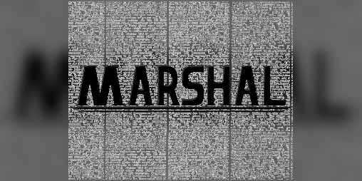 Cover image for Marshal