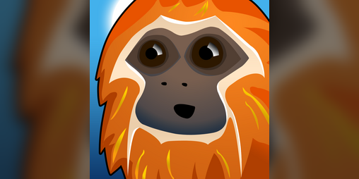 Cover image for Monkeyshines