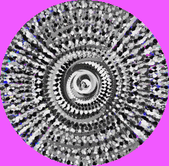 Cover image for SUPERMOONS