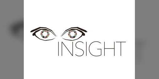 Cover image for Insight