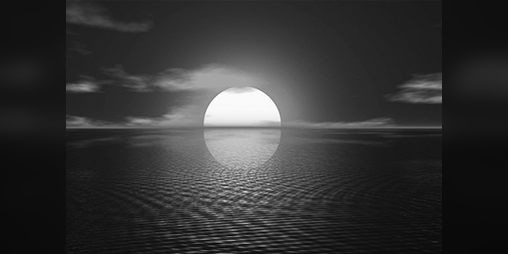 Cover image for Value