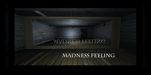 Cover image for Madness Feeling