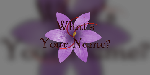 Cover image for What's Your Name?