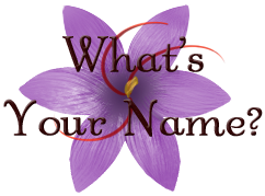Cover image for What's Your Name?