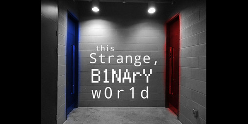 Cover image for This Strange, Binary World