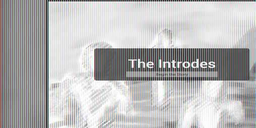 Cover image for The Introdes