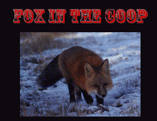Fox In The Coop