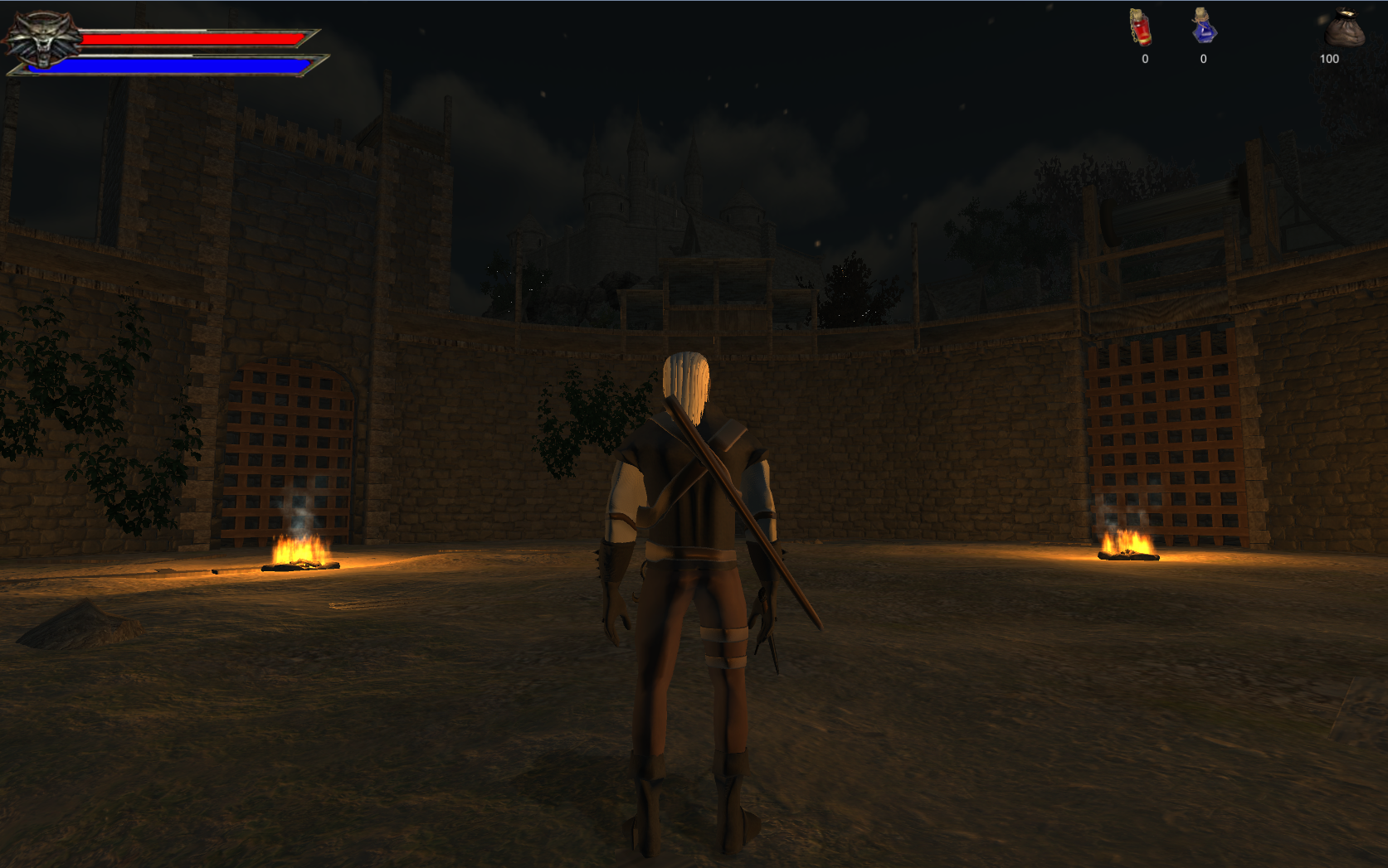 Cover image for Witcher Arena Demo