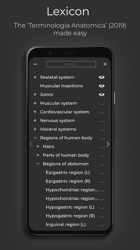 ZAnatomy Open Source 3D Atlas by Lluís Vinent