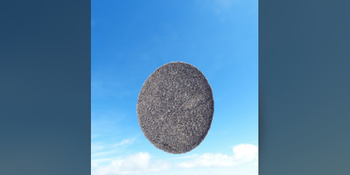 Cover image for Pet Rock