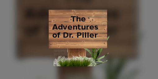 Cover image for The Adventures of Dr. Piller - Beta