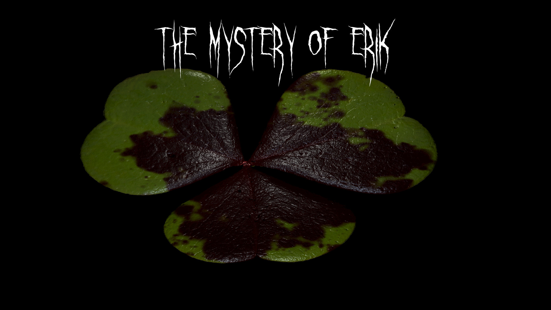 Cover image for The Mystery Of Erik