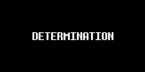 Cover image for DETERMINATION