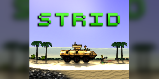 Cover image for Strid