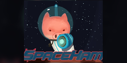 spacepig hamadeus about spacepig hamadeus about