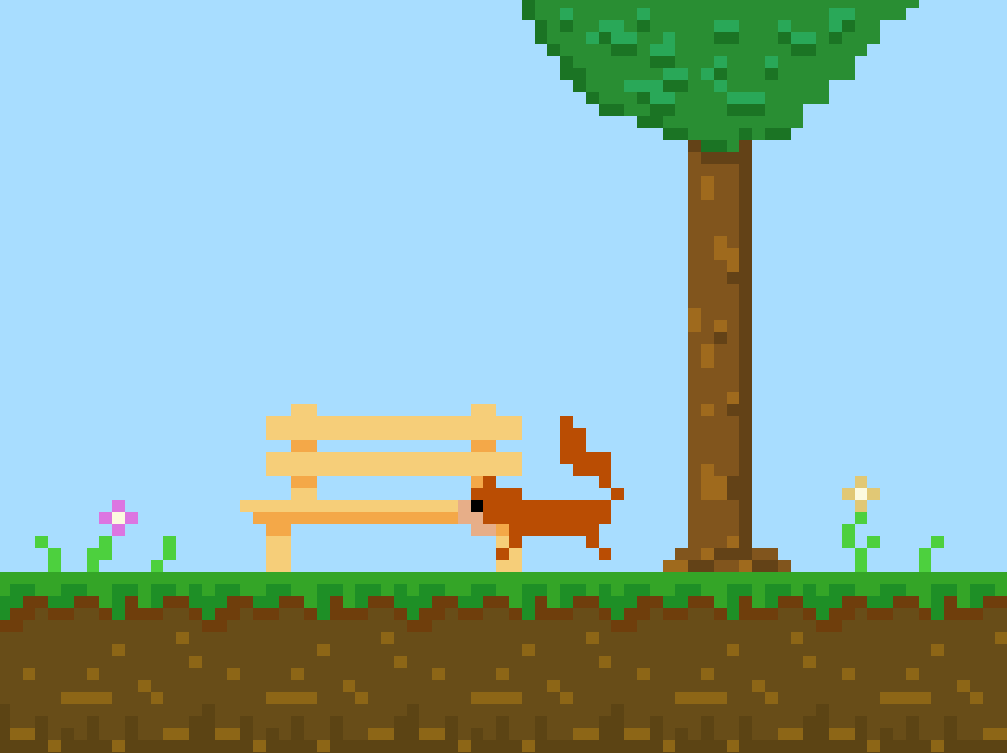 Cover image for Squirrel